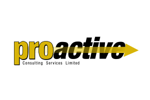 Proactive Consulting Services