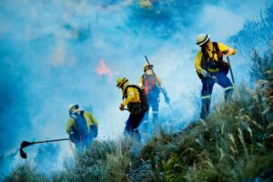 Shot of fire fighters combating a wild fire.